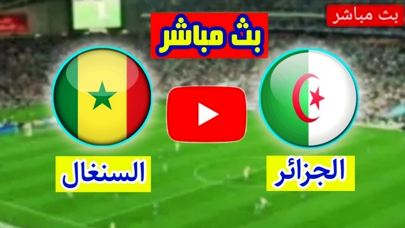بث مباشر مباراة الجزائر والسنغال